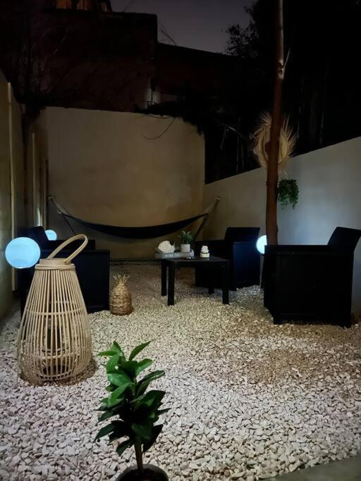 Appart 1 Chambre Intra-Muros Avec Jardin أفينيون المظهر الخارجي الصورة